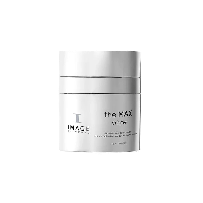 THE MAX - Crème  48g (Pré-commande)