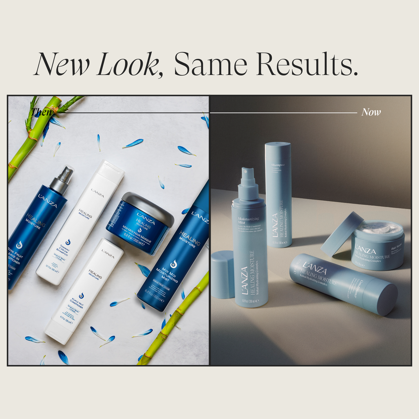 Trio Moisture